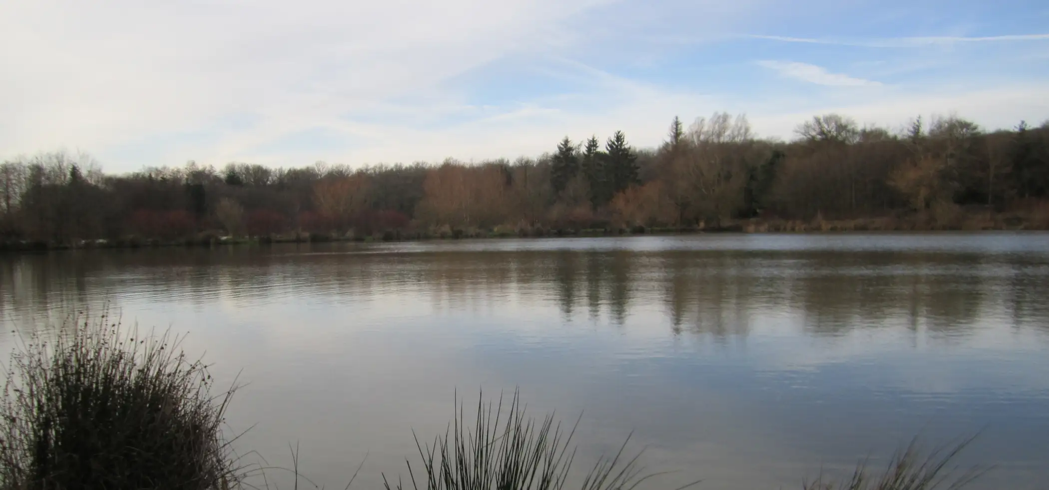 Cottage for 6 people in Chimay Chalet de l’Etang du Marteau